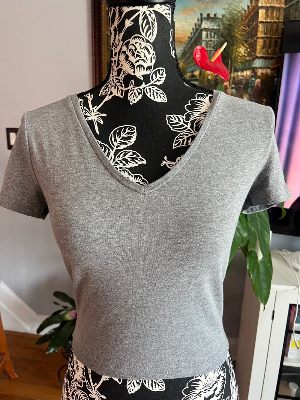 wild fable Gray V-Neck Short Sleeve Crop Top
